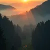 dogfailztv