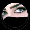 abu.abu4981