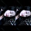 dinol611
