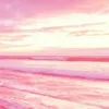 ness_ines18
