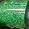 Color Coated Steel Coil