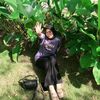 mutii.27