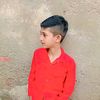 fazan.panda911