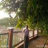 phyo07686