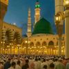 abbas ansari804