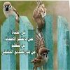 user936008085903