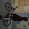 juan.pereira283