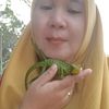 tetehtawekal