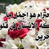 user5449623261488