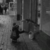 elin_1384