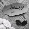 user82000481075684