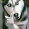bluefacebaby7294