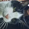 takingitevie