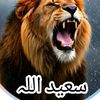 saeed.bacha47