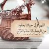 user677503142