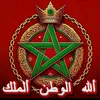 watani878