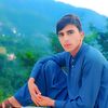 ahmadalikhan1335