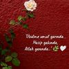 yalan_dnya928