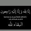 user7830531857004