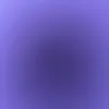 sophie_digit