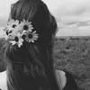 Rozina dreams