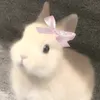 wriddleel