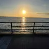 louiesharkey3