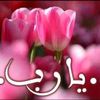 halemi69