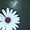 user9461612503074