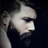 ali.abbas8454
