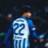 roal_edit