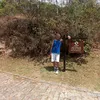samuel.cardoso565