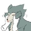 furry4507