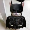 jasmine_notfound67