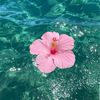 miray_238