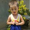 lin.lin10452