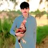 ubaid.wazir60