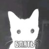.postman_gg