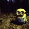 shrekstoeyes