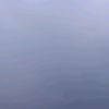 wukawuk12