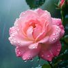 m.nadeem.iqbal19