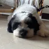 mrtcuba0