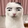 Nâuu