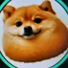 .30000497