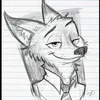 av_andester656