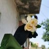 aicha.hanoun15