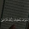 user8109598194419