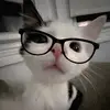isthis_ryaa