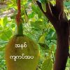 u.kyaw0400