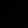 gervonta294